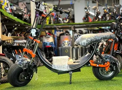 Kugoo Harley Fat tire E bike