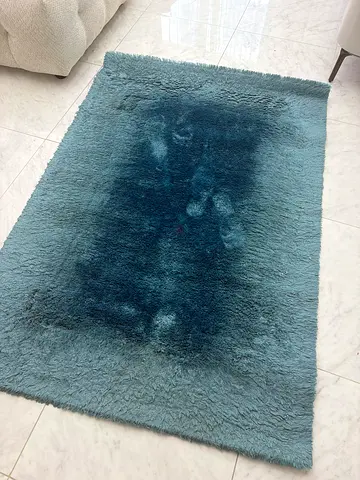 Blue-green patterned area rug (used, good condition)