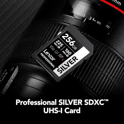 Lexar 256GB Professional Silver SDXC Memory Card,