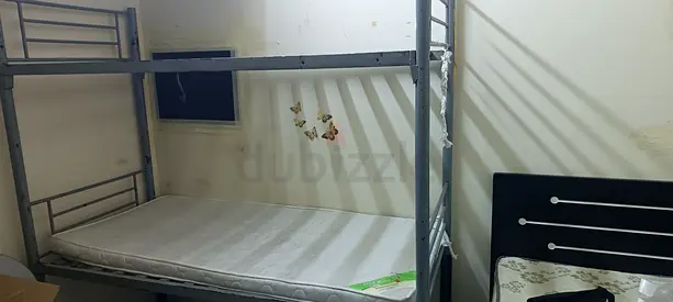 Bunker bed (high pipe) 1 matress Aed 100