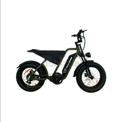 Wind Horse D3 Electric Bike Shimano Gear 7 Speed