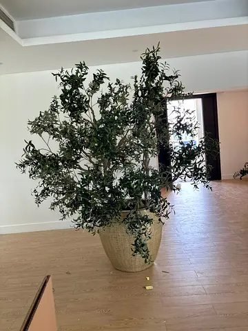 Fake plant and pot for free