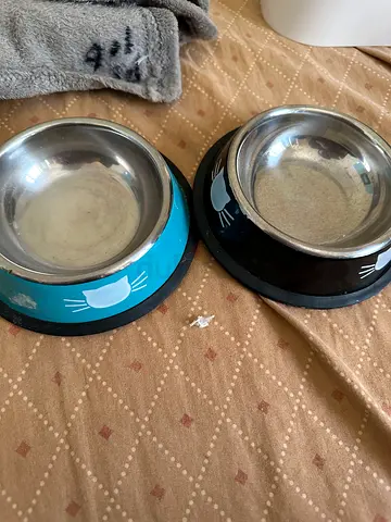 Cat bowl