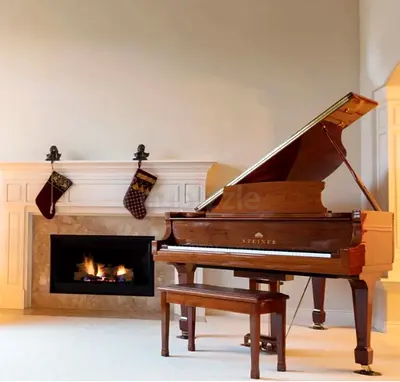 Steiner Baby Grand Piano in Walnut Finish - Excellent Condition