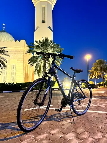 reid city 2 bicycle hybrid