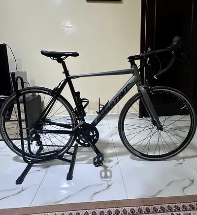 Spartan road bike