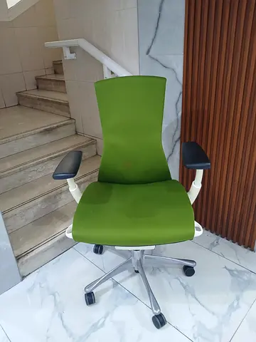 For Sale Green Ergonomic Embody Chair with Adjustable Armrests and Fully Loaded