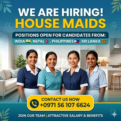 SG maids company