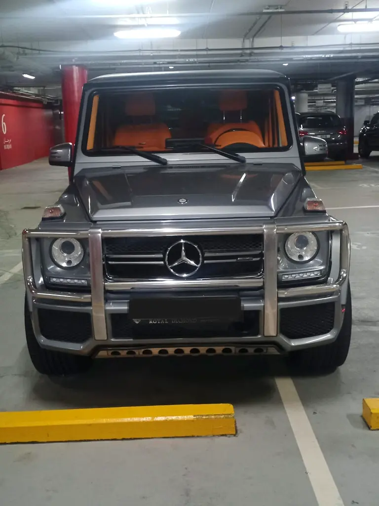 Mercedes-Benz G-Class 2016 — photo 1 of 8