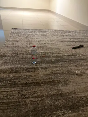 Large Modern Neutral Tone Area Rug - Good Condition