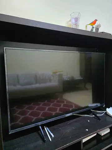 43-inch flat panel TV - good working condition