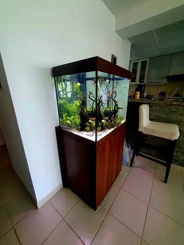 Juwel lido 200 aquarium