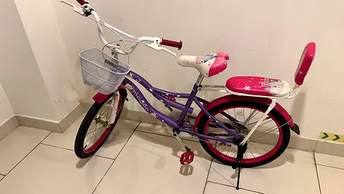 Girls 18-inch Purple  Pink Bicycle with Basket and Rear Seat