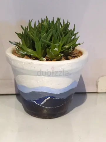 Small decorative potted succulent (hand-painted pot)