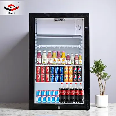 Cooler fridge