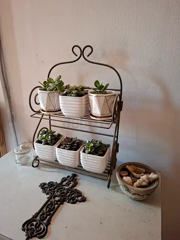 Metal 2-Tier Shelf Rack /  Decorative Stand