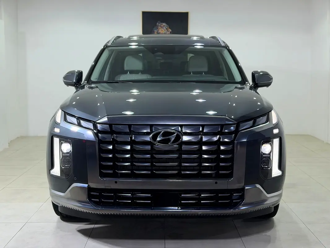 Hyundai Palisade 2024 — photo 1 of 20