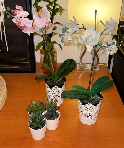 Ikea - Artificial Plants