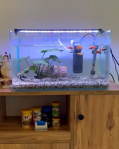 Complete Rimless Glass Aquarium – Fully Equipped with Heater  Filter