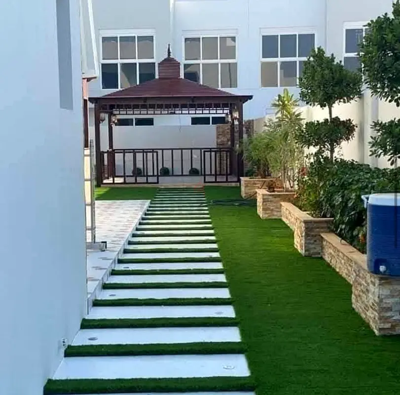 DPV_View_Image_2