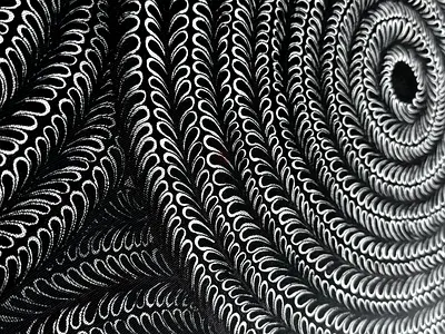 Leaves II. - Circles - 3D illusion Abstract Circular Wall Art Canvas – Modern Black and White
