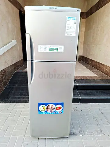 Refrigerator_Hitachi Excellent Cooling