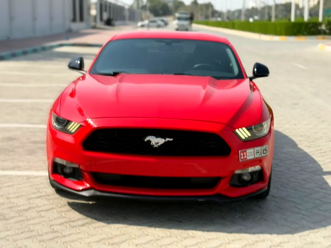 Ford Mustang 2017 — photo 1 of 15