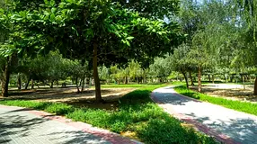 1BR Apartment for Rent in JVC directly from Owner