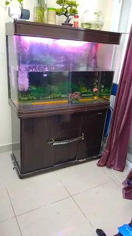 Large Fish Aquarium with Cabinet
