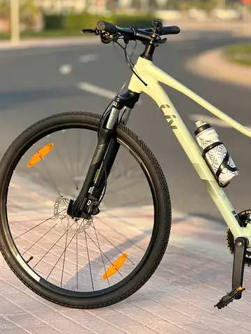 Giant liv Mtb bike