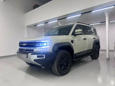 2025 Denza Leopard 5 Navigator Double Diff Locks With 5 years unlimited km EVS warranty!!