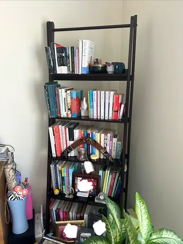 Ladder Bookshelf