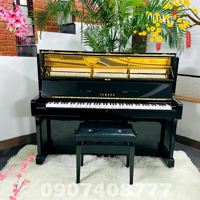 gallery-image