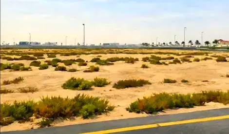Land for sale in Al Hawshi, Sharjah