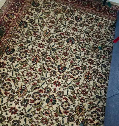 Used traditional Persian-style area rug - good condition