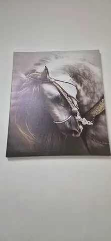 Framed Horse Canvas Wall Art - Neutral Tones