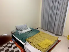Executive Bachelor Room Available
