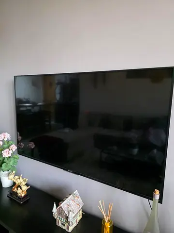 55-inch LED Smart TV - broken screen