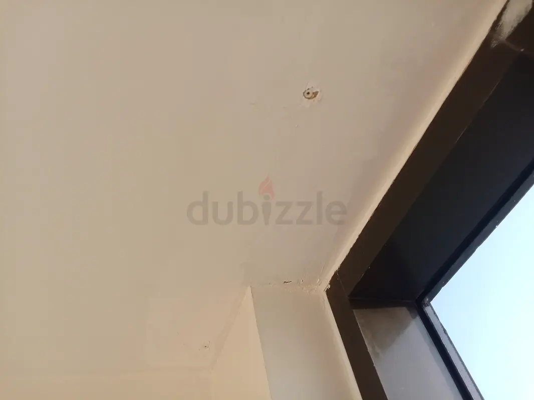 DPV_View_Image_1