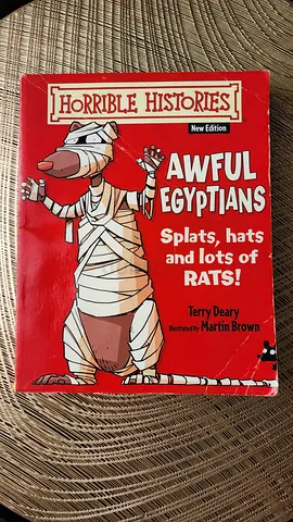Horrible Histories book set