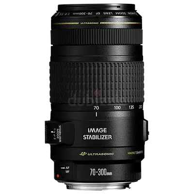 canon ef 70-300mm f/4-5-5.6 do is usm lens