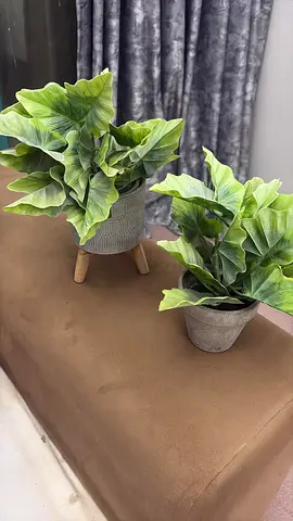 Artificial Plants