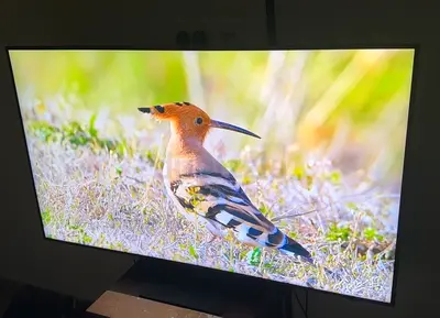 55 Inch QLED 4K Smart TV 2023
55Q70C Titan Gray
QLED + 55 in + UAE Version Good as new