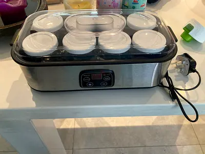Electric Yogurt Maker with 8 Glass Jars - Stainless Steel