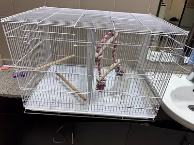 White metal bird cage with perches and toy - good condition