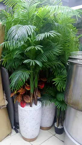 Plants almost new