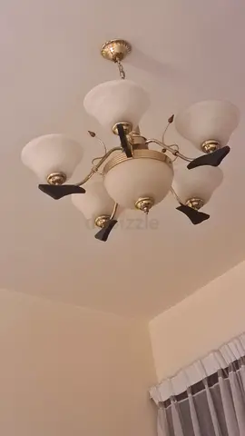 Ceiling Light