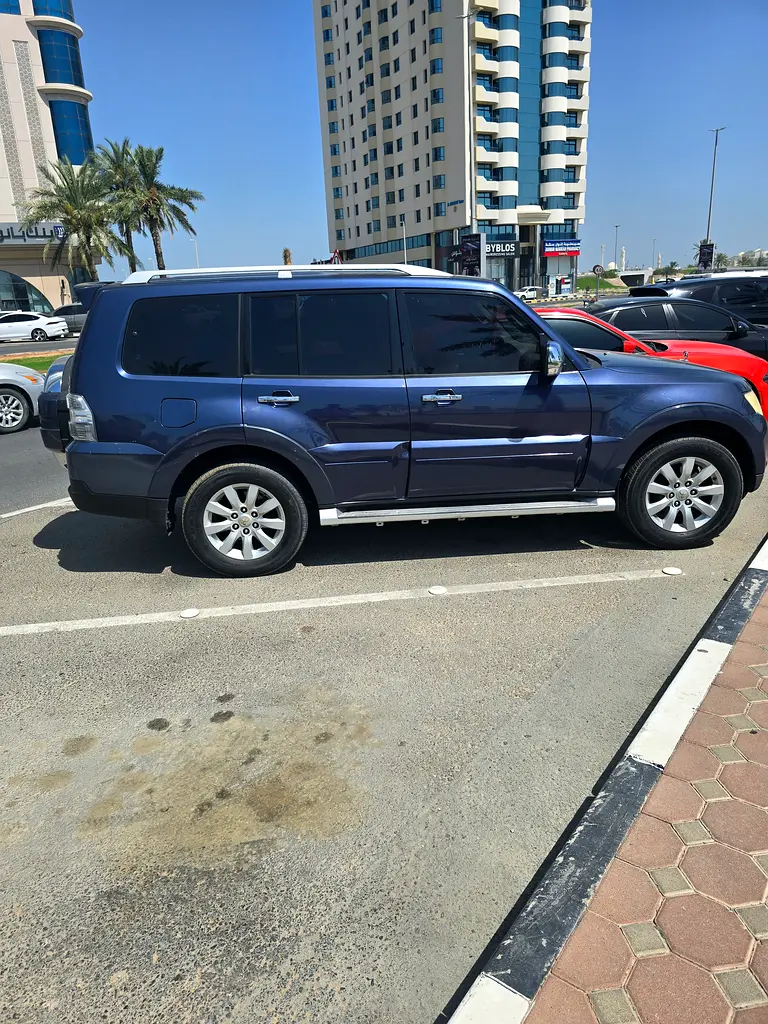 Mitsubishi Pajero 2009 — photo 1 of 8