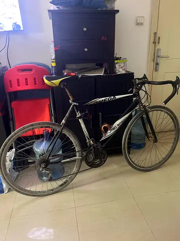 Original Omega Road Bike