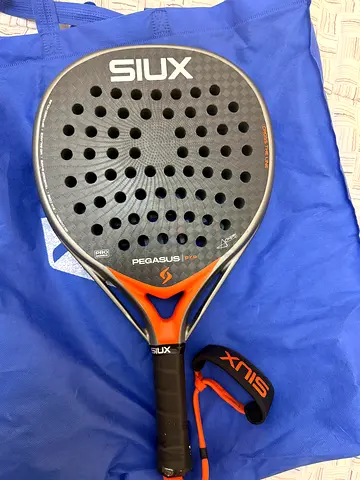 Siux Pegasus Pro 2026